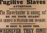 The Fugitive Slave Act