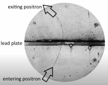 Son predichas las antipartículas