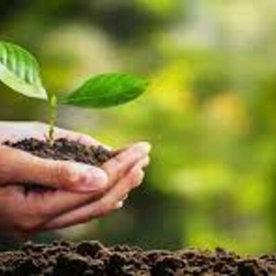 Timeline: Desarrollo Sustentable