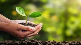 Timeline: Desarrollo Sustentable