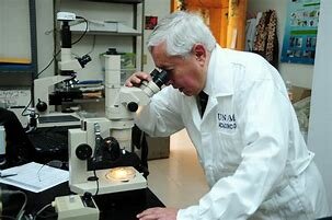 Departamento de Investigación Científica