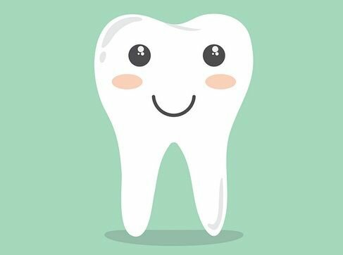 première dent tombée