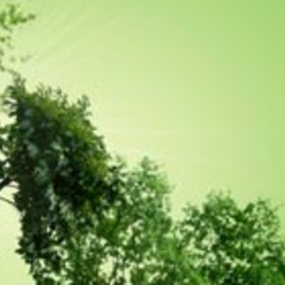 Timeline: Cambios de los ciclos medioambientales del Ecosistema