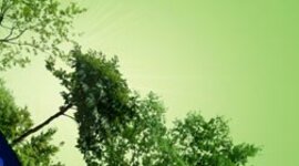 Timeline: Cambios de los ciclos medioambientales del Ecosistema