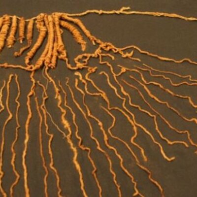 Timeline: Historia de los Textiles