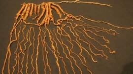 Timeline: Historia de los Textiles