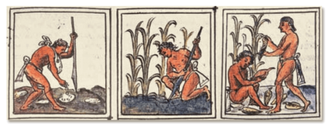 Mesoamérica (2500-1500 A.C)