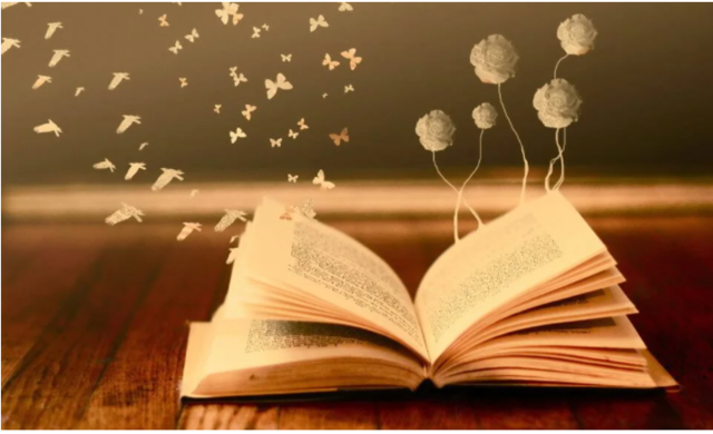 Referencias bibliográficas