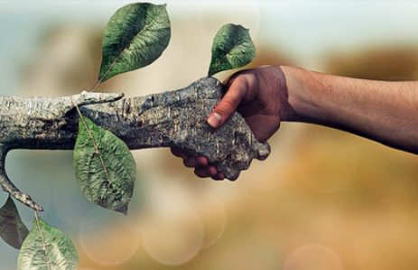 Sustentabilidad ambiental