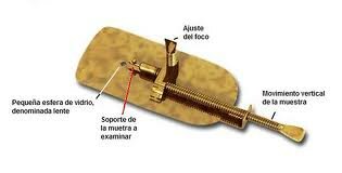 Primer microscopio