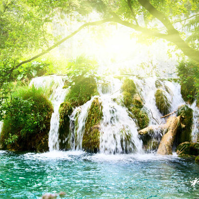 Timeline: HISTORIA UVM