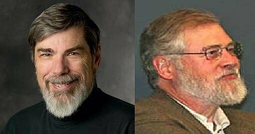 La teoría de la población ecológica Hannan y Freeman