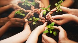 Timeline: La Educación Ambiental en Colombia