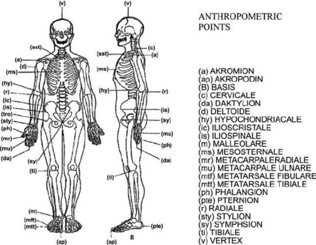 Criminal features reduced to numerical measurements of physical features of bones by Alphose Bertillon