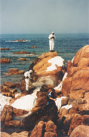 Desastre del Prestige