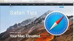 Safari