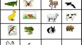 Timeline: CLASIFICACION DE LOS ANIMALES SEGUN SU ORIGUEN