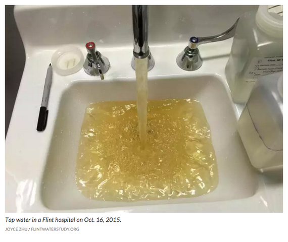 Limpieza del Rio Flint