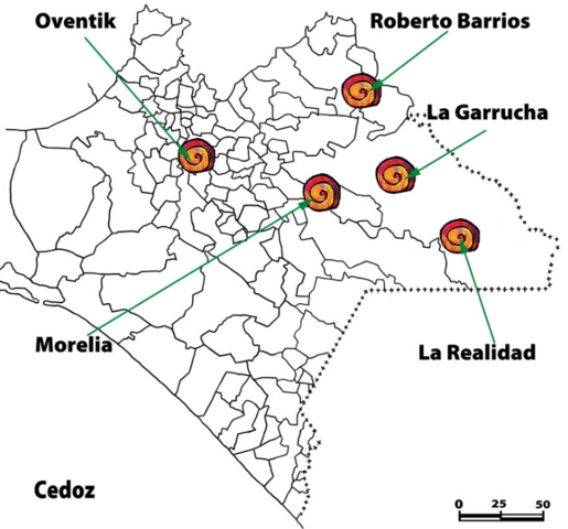 Caracoles en agosto 2003