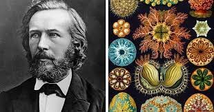 Ernst Haeckel
