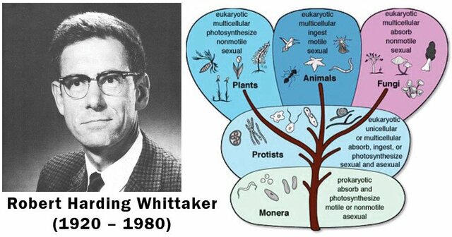 Robert H. Whittaker