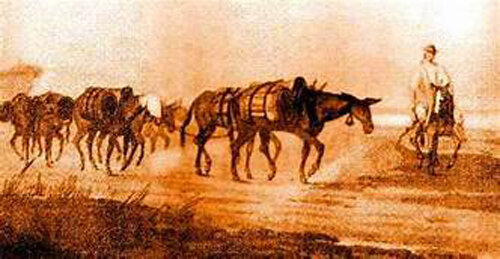 EVOLUCIÓM  LA DOMESTICACIÓN  DE LOS ANIMALES DOMESTICOS EN AMERICA EN EL AÑO 1200