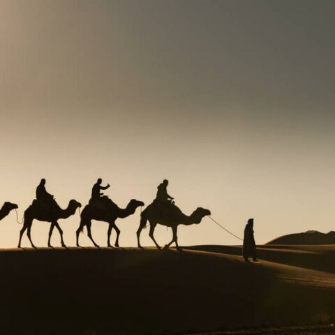 EVOLUCIÓM  LA DOMESTICACIÓN  DE LOS ANIMALES DOMESTICOS EN AMERICA EN EL AÑO 1200