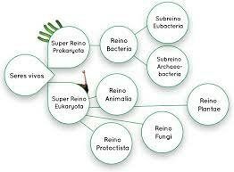 Lynn Margulis y Karlene V. Schwartz