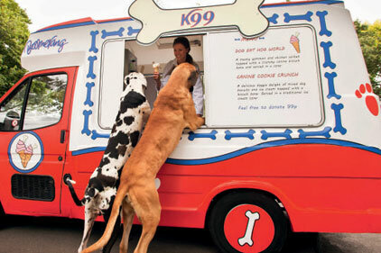 escaparate de campañas 2010