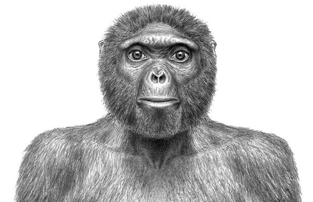 Ardipithecus (hace 4,4 millones de años)