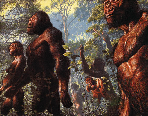 Autralopithecus (de 4 a 1 millones de años)