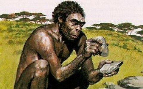 Homohábilis (hace 2,5 millones de años)