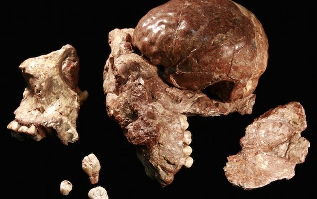 Primeros restos humanos (inicio de la Prehistoria)
