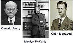 El ADN es el material Genético