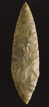 feuille de Laurier, cachette de Volgu, Saône-et-Loire)