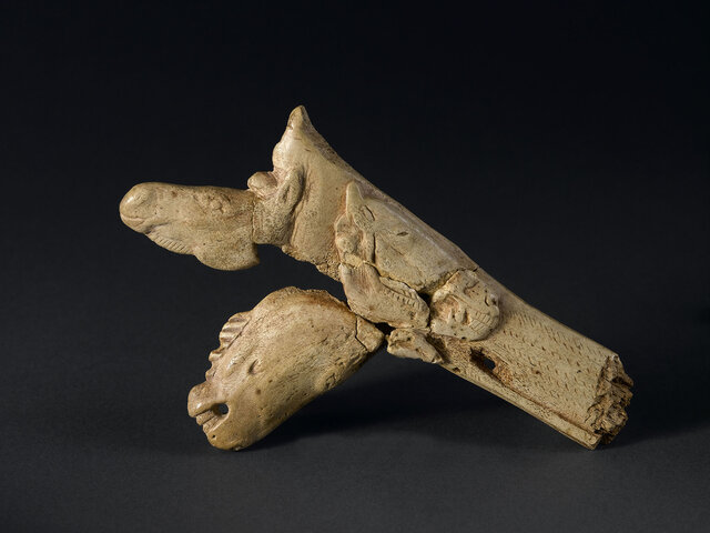 grotte du Mas d'Azil, Ariège "tete de cheval henissant"