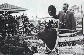 The Bull Moose Party