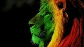 Timeline: Antecedentes de la Computadora