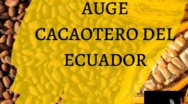 Timeline: el auge cacaotero