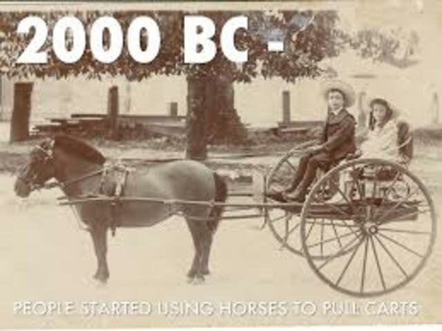 Horses in 2,000 B.C.