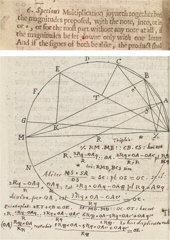 La cruz de San Andrés x