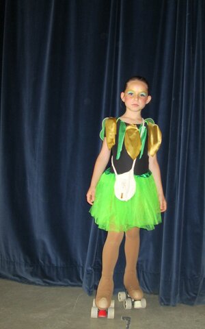 Vaig començar a patinar