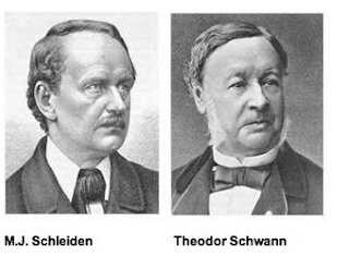 Mathis Jakob Scheiden y Theodor Schwann