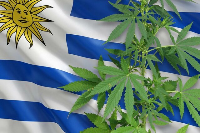 Uruguay legalitza la marihuana