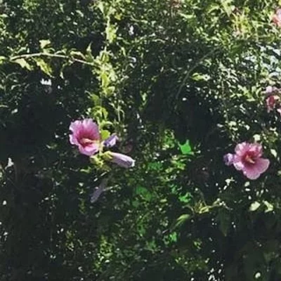 Timeline: Evolución de la informática