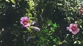 Timeline: Evolución de la informática