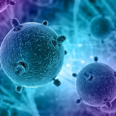 Timeline: La organización celular de los seres vivos.