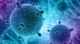 Timeline: La organización celular de los seres vivos.