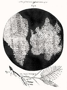 Hooke. Primeros conocimientos de las células