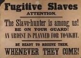 The Fugitive Slave Act